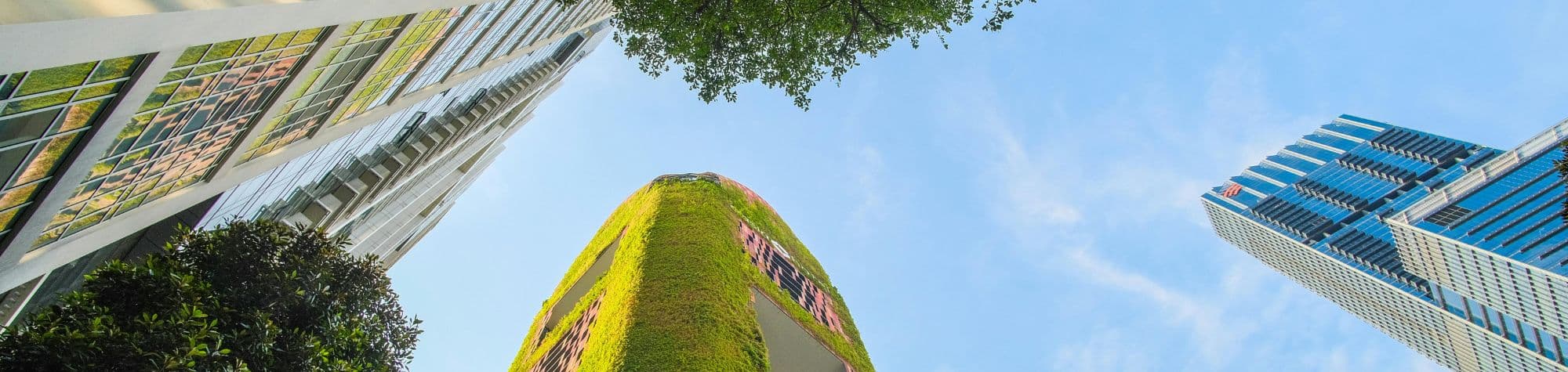What are the 7 principles of sustainability in construction?