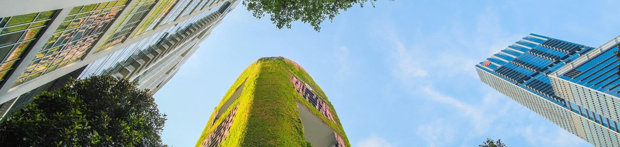 The 7 Principles of Sustainability in Construction