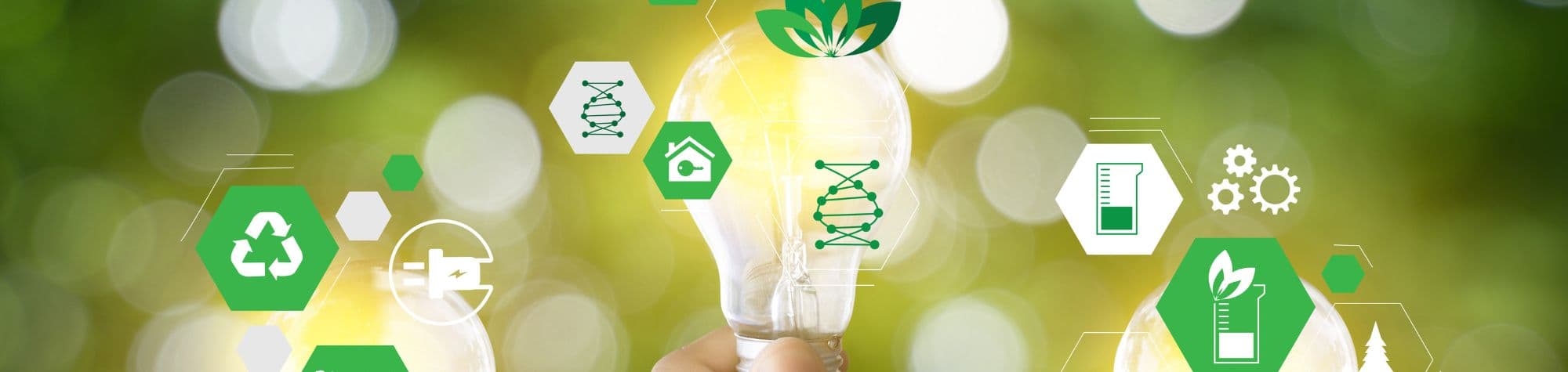 Why does sustainability give construction companies a competitive edge?